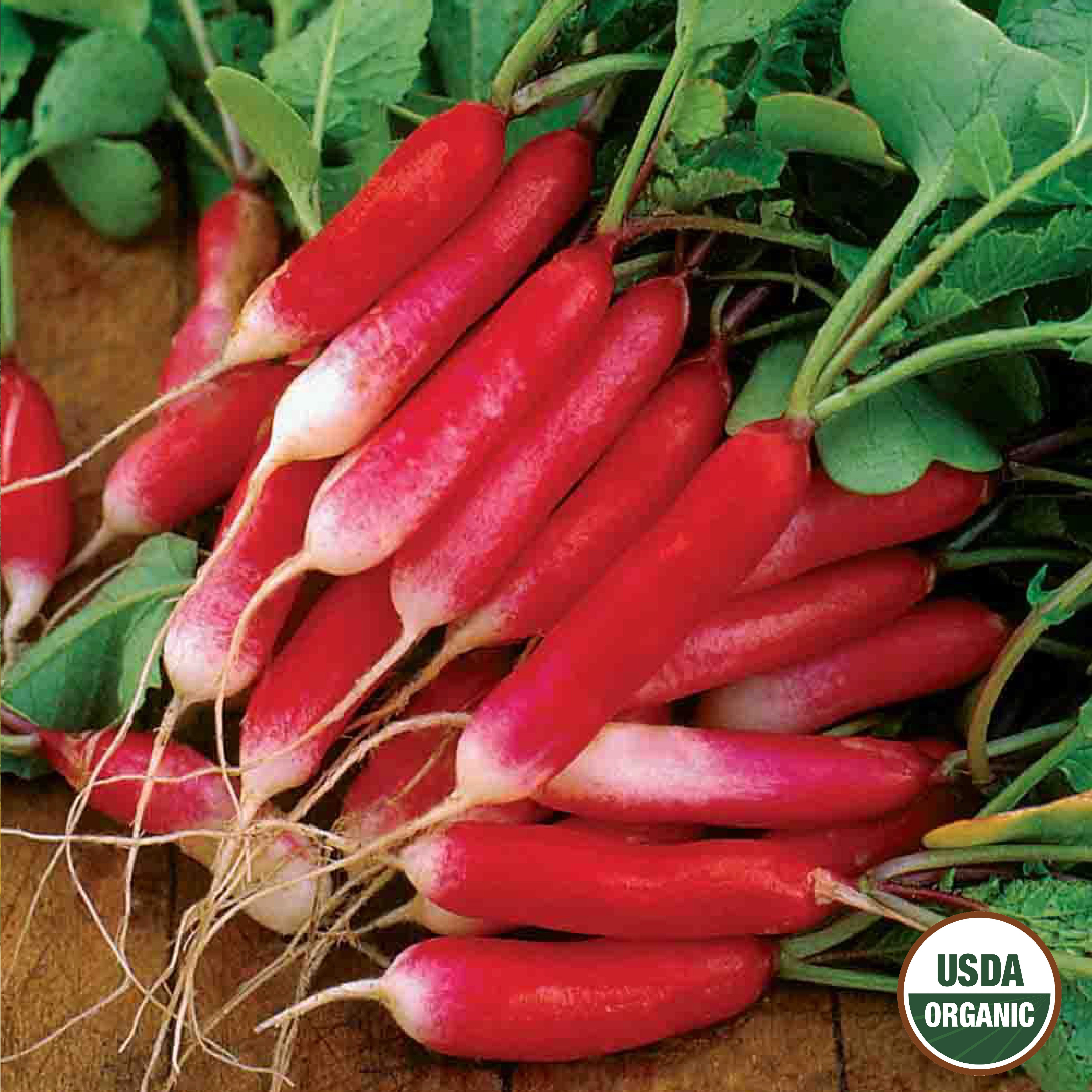 A cluster of French Breakfast organic radishes with vibrant red and white coloring, displaying the USDA organic seal.